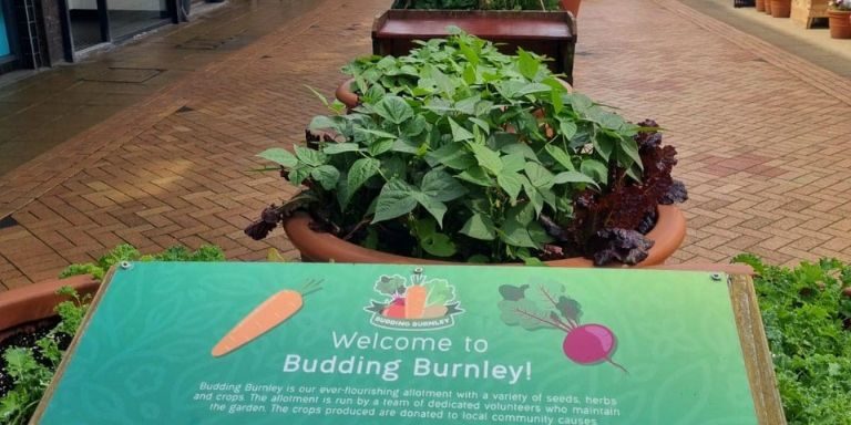 Shoppertainment – Blog Featured Image Size (2) Budding Burnley photo 1