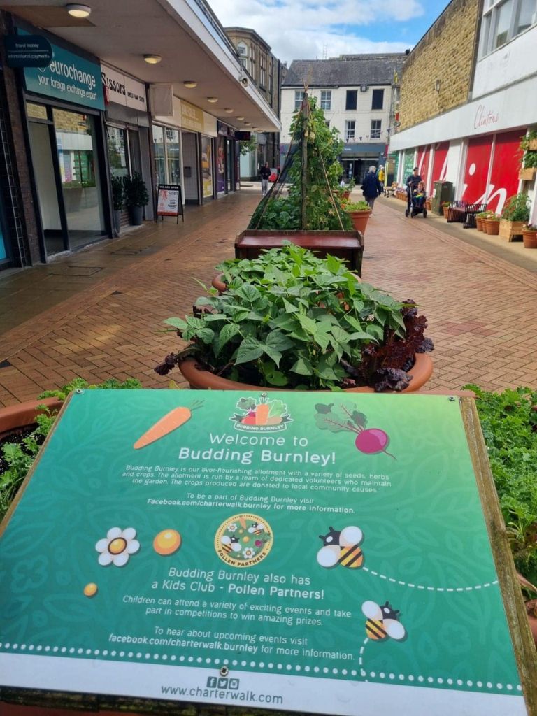 Budding Burnley photo 1