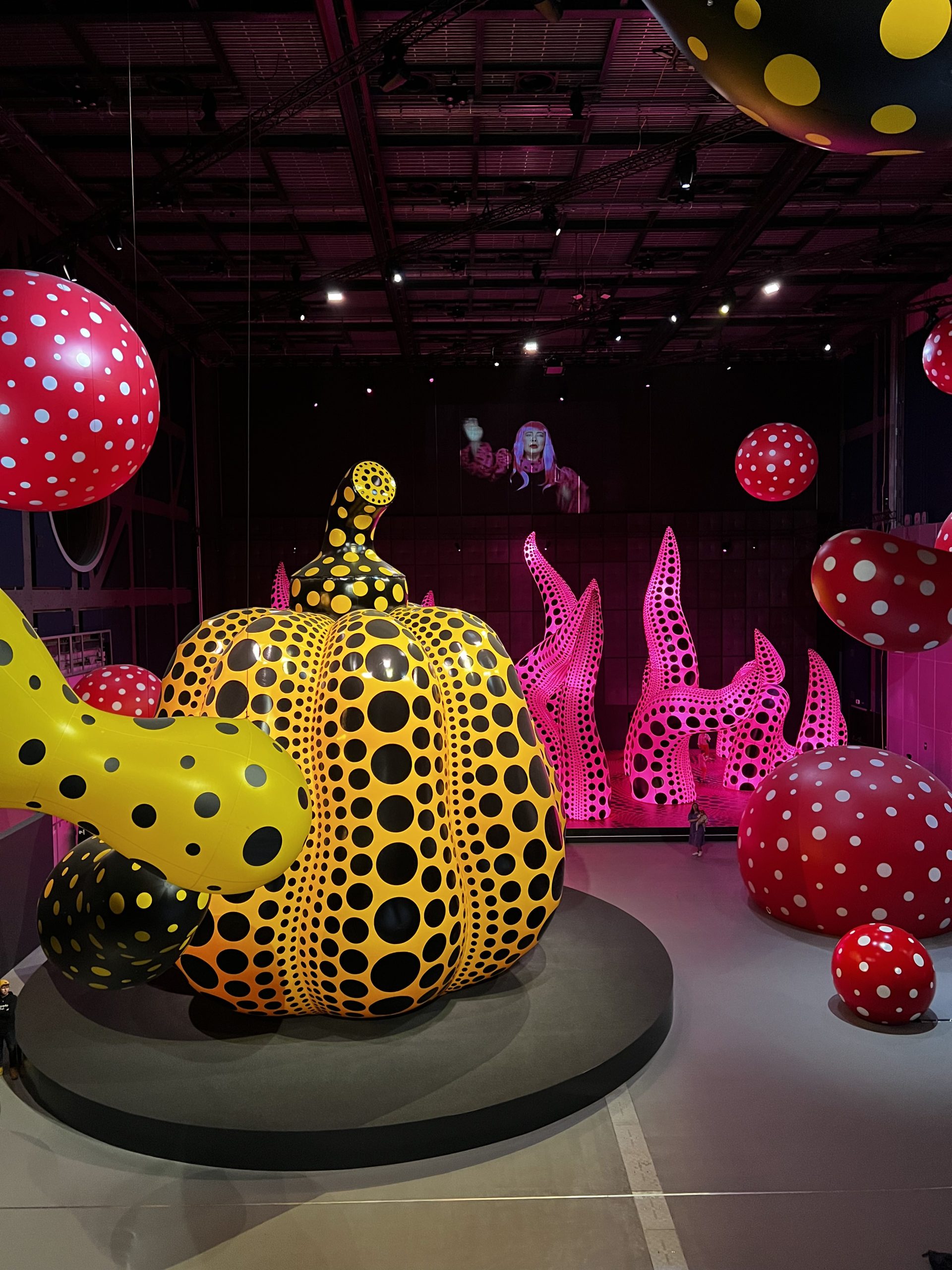 light-up fruit decorations