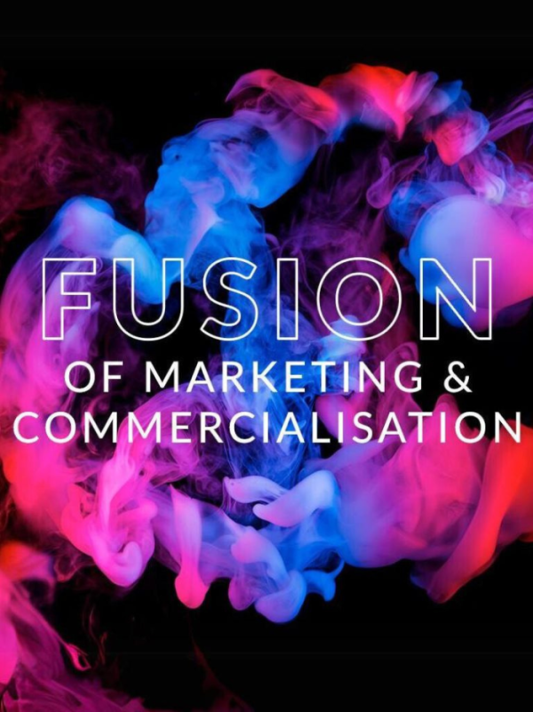 Fusion commercialisation & marketing